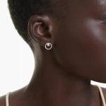 Swarovski orecchini a lobo constella