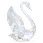 Swarovski scs edizione annuale cigno 2024