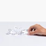 Swarovski coppia di cigni