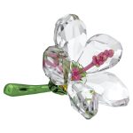 Swarovski florere Ibisco
