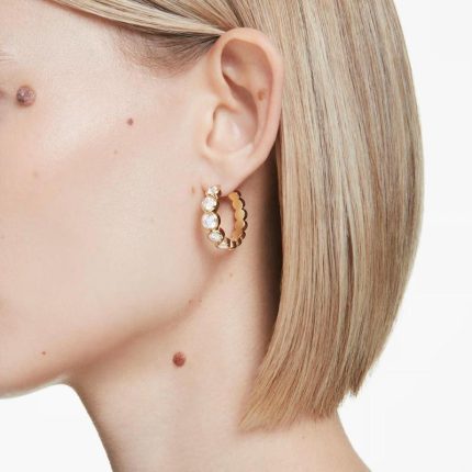 Swarovski orecchini a cerchio Imber