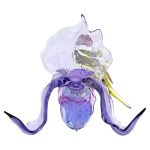 Swarovski Idyllia Diamante di Gould e Orchidea