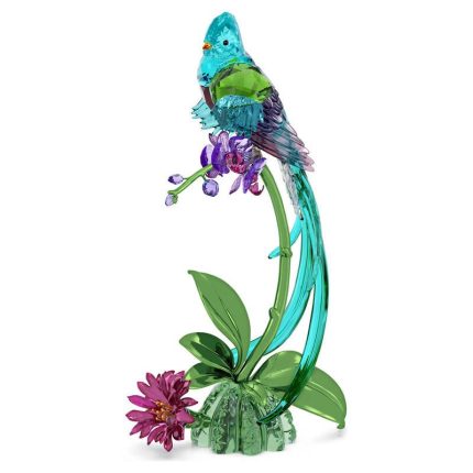 Swarovski Idyllia Quetzal e Orchidea