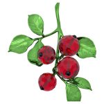 Swarovski Idyllia Bacche Rosse