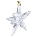 Swarovski Annual Edition Decorazione Little Star 2025