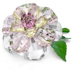 Swarovski Florere Camelia