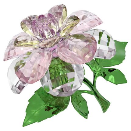 Swarovski Florere Camelia