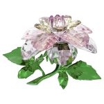 Swarovski Florere Camelia