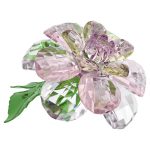 Swarovski Florere Camelia