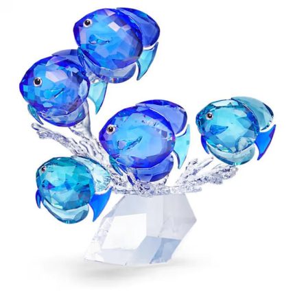 Swarovski banco di pesci
