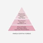 Baci milano ricarica per diffusore fragranza diamante 250 ml