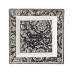 Versace coppa 22 cm barocco haze