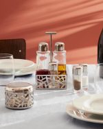 Alessi servizio per olio aceto sale pepe e spezie cactus