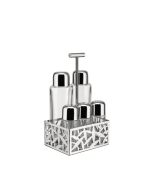 Alessi servizio per olio aceto sale pepe e spezie cactus