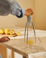Alessi spremiagrumi juicy salif