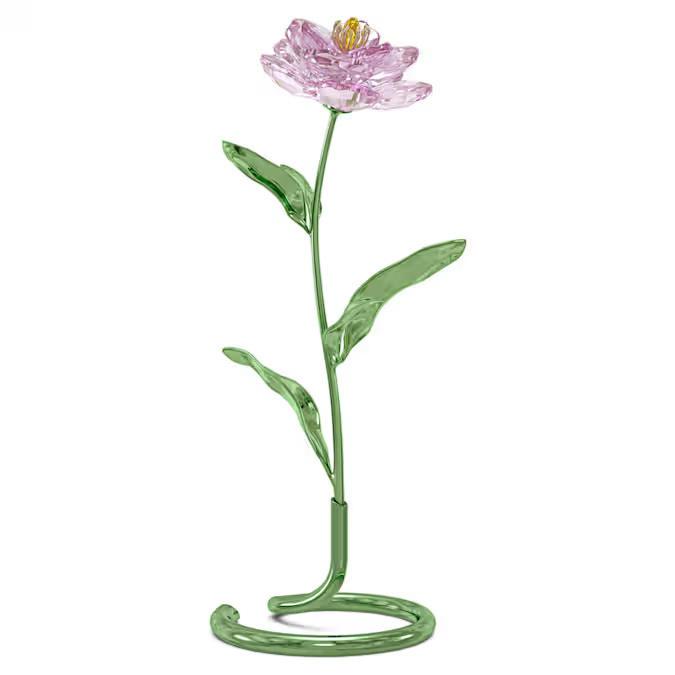 Swarovski florere peonia Swarovski florere peonia
